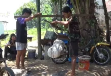 Harga Jual Karet Naik, namun Hasil Penen Menurun