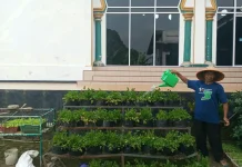 Marbot Masjid Jami’ Al Huda Panorama Sulap Lahan Kosong Jadi Kebun Produktif