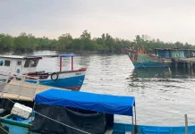 Pesona Hutan Mangrove Kampung Melayu Tarik Pengunjung