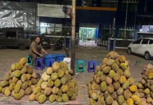 Musim Durian Jadi Berkah, Penjualan Bisa Capai Jutaan Rupiah per Malam