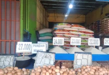 Harga Beras Premium di Bengkulu Naik. Pedagang: Kurang Pasokan