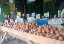 Harga Telur Masih Tinggi, Warga Kurangi Pembelian Harian