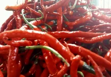 Harga Cabai Merah di Bengkulu Mulai Naik