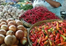Musim Kemarau, Harga Cabai di Pasar Panorama Bengkulu Merangkak Naik