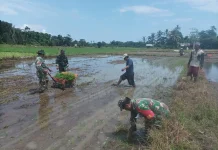 Lahan Program Cetak Sawah Akan Ditetapkan Menjadi LP2B