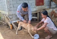 Stok Vaksin Rabies di Bengkulu Utara Mulai Berkurang