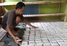 Pedagang Tempe dan Tahu Berharap Harga Kedelai Selalu Stabil