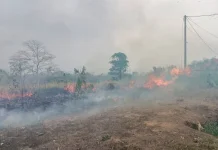 Karhutla Tidak Hanya Ancam Lingkungan, tapi juga Menyeret Palakunya ke Ranah Hukum