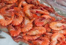 Benarkah Garis Hitam pada Udang Itu Kotoran?
