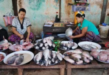 Cara Mudah Membersihkan Bau Amis di Tangan setelah Mengolah Ikan