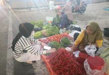 Harga Cabai di Pasar Panorama Kota Bengkulu terpantau 60 ribu Perkilo