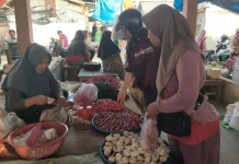 Harga Cabai Merah di Bintuhan Naik Rp50.000/kg