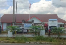 Penjualan Bibit Sawit Berkualitas Diprediksikan Mampu Tingkatkan PAD