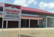 Organisasi Kepala Desa Meminta Pemerintah Pertimbangkan Lagi Pemangkasan DD
