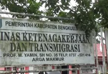 13 Pekerja Migran Bengkulu Utara Dideportasi Dari Negara Penempatan