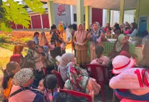 Kasus DBD di Kaur Kembali Bertambah Menajdi 31 Kasus
