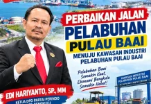 Edi Hariyanto Apresiasi Perbaikan Jalan, Minta Dituntaskan hingga Dermaga