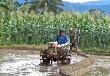 Air Irigasi Terbatas, Petani Memilih Menanam Tanaman Alternatif