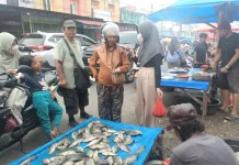 Kemarau, Harga Ikan Nila Naik Jadi 35 Ribu Perkilogram