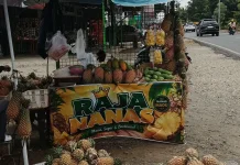 Musim Kemarau, Harga Nanas Naik dan Pasokan Menurun