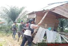 Penertiban Perambahan di HP Teramang Bengkulu, Kemenhut Kuasai Kembali 300 Hektar