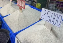 Harga Beras di Bengkulu Naik, Pasokan Beras Dari Luar Daerah Picu Kenaikkan