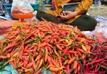 Pelaku Usaha Makanan Mulai Keluhkan Cabai Rawit Merah yang Langka