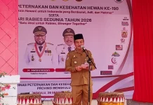 Kasus Rabies Menurun, Pemprov Bengkulu Tetap Dorong Vaksinasi