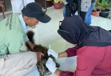 Hari Rabies, Masyarakat Diminta Tingkatkan Kepedulian Terhadap Hewan Peliharaan