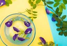 Teh Bunga Telang Berkhasiat sebagai Minuman Herbal Kaya Antioksidan