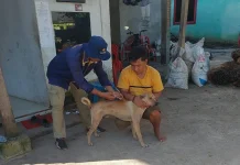 Masyarakat Diimbau Waspada terhadap Gigitan Hewan Penular Rabies