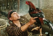 Olahan Minuman Rempah untuk Ayam, Perhatikan Kesehatan dan Keamanannya
