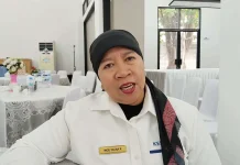 DJP Catat Penerimaan Pajak Ekonomi Digital Rp 57,23 Triliun