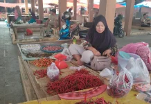 Harga Cabai Merah di Kaur Mulai Turun