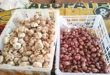 Harga Bawang Merah dan Putih Masih Stabil