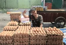 Permintaan Meningkat,Harga Telur Ayam di Pasar Panorama Bengkulu Mulai Naik