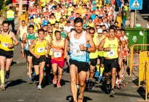 Pemula Butuh Berapa Lama untuk Ikut Race?