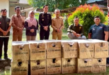 Hadapi Kemarau, Dinas Pertanian Kaur Usulkan Pompa Air dan Handtraktor