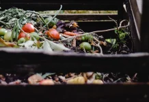 Membuat Kompos Tanaman dari Sampah Organik Rumah Tangga