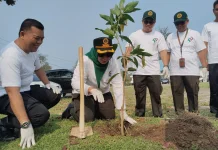 Hari Karantina ke-149, Karantina Bengkulu Tanam 149 Pohon di Pulau Baai