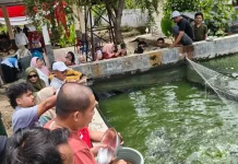 Panen Perdana Lele, Pemkot Bengkulu Targetkan Produksi Lima Ton