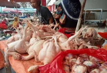 Menjelang Puasa Harga Daging Ayam Naik