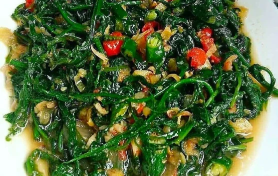 Mengolah Tumisan Pakis Cabe Hijau yang Lezat