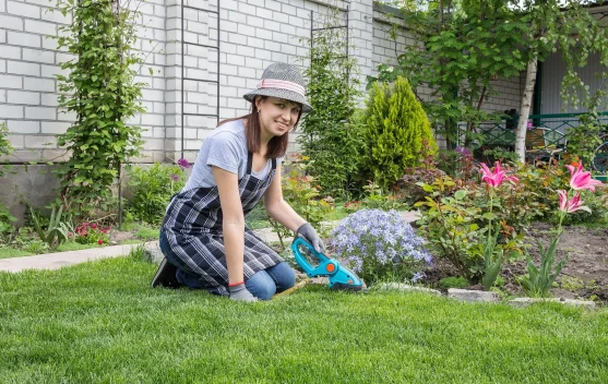 Tren Berkebun di Rumah Semakin Digemari