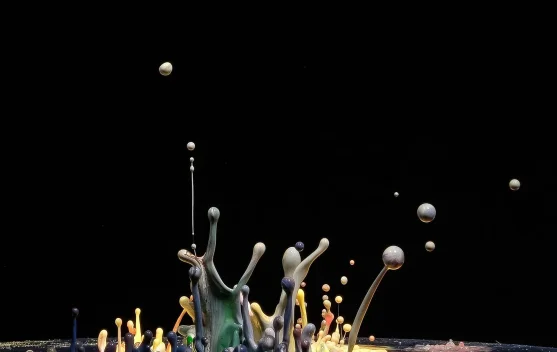 Tren Warna Cat Rumah Sambut Idulfitri 2026