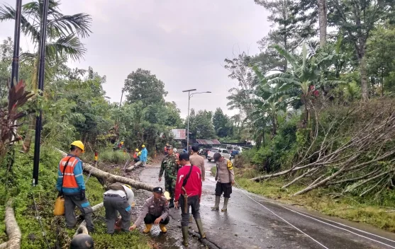 Pohon Tumbang akibat Hujan, Polres Lebong Sigap Amankan Jalan