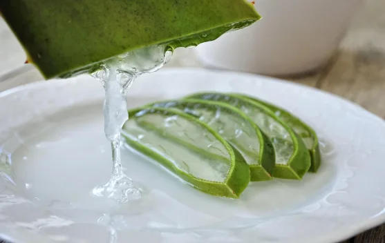 Manfaat Lidah Buaya untuk Kecantikan