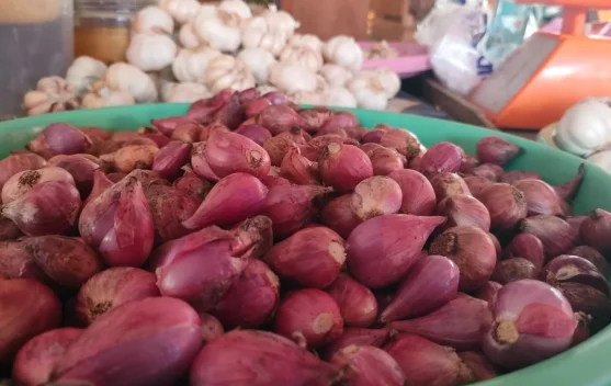 Harga Bawang Merah di Arga Makmur Rp47.000 Per Kilogram