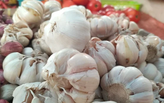 Harga Bawang Putih di Bintuhan Mulai Turun