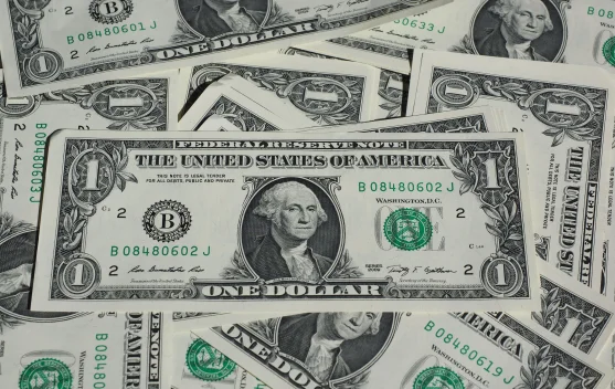 Mengapa Nilai Dollar Terhadap Rupiah Sering Mengalami Kenaikan?